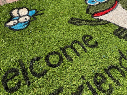 Maty kokosowe modułowe żaba