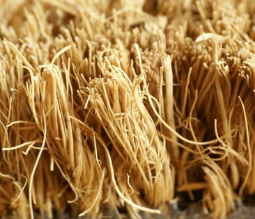 Wycieraczka kokosowa z rolki o szerokości 100 cm [18mm]