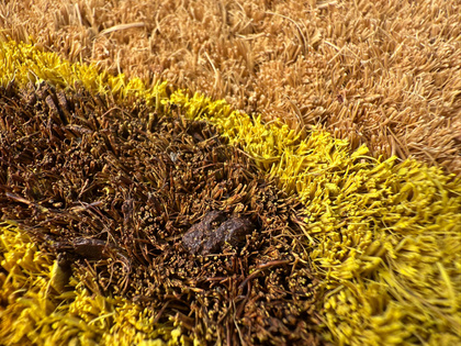 Maty kokosowe modułowe - dzikie zwierzęta