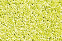 Mata CANDY - kolor limonka