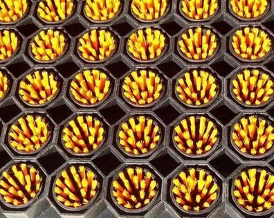 Szczoteczki czyszczące kolor żółty